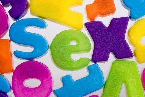 INFOGRAPHIC: What the Internet Can Teach Us About Sex
