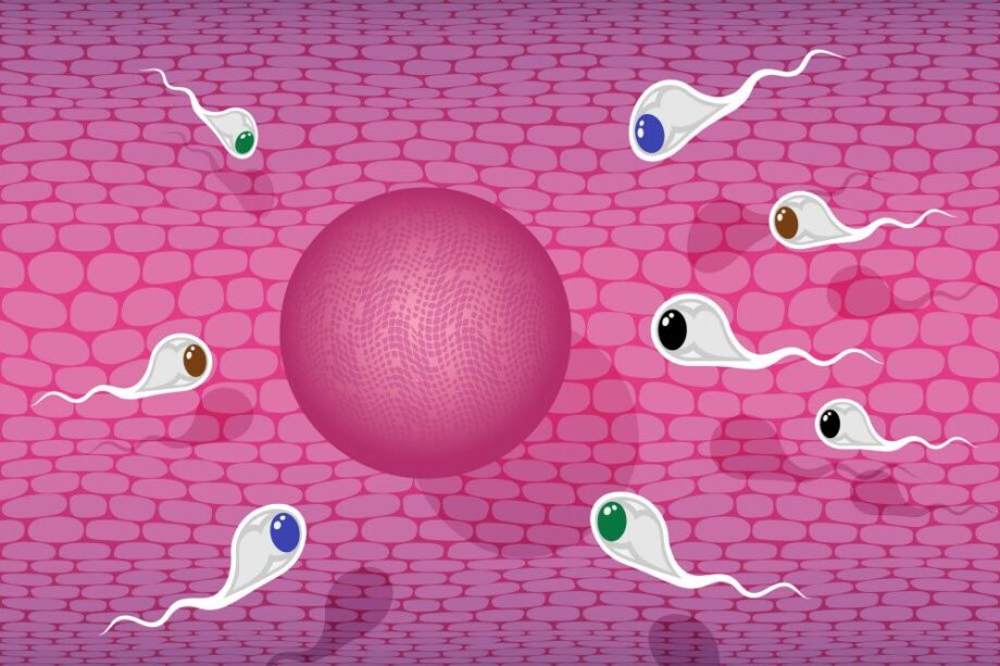 What Science Is Saying About Arousal, Sperm Quality and Infidelity